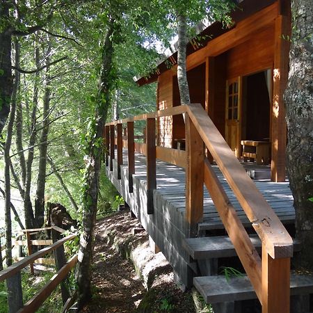 Villa Patagonia Mawida Neltume Exterior foto