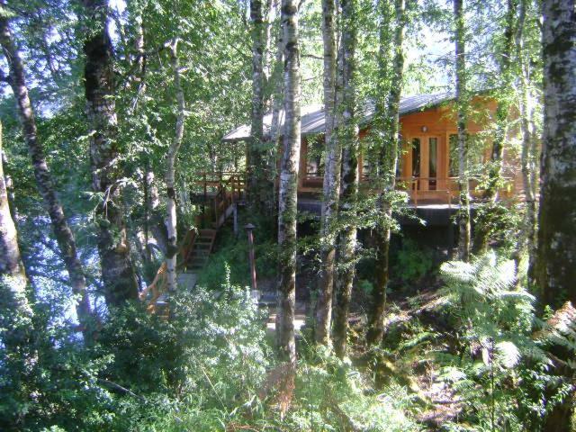 Villa Patagonia Mawida Neltume Exterior foto