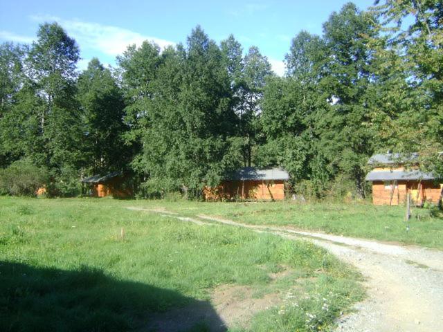 Villa Patagonia Mawida Neltume Exterior foto