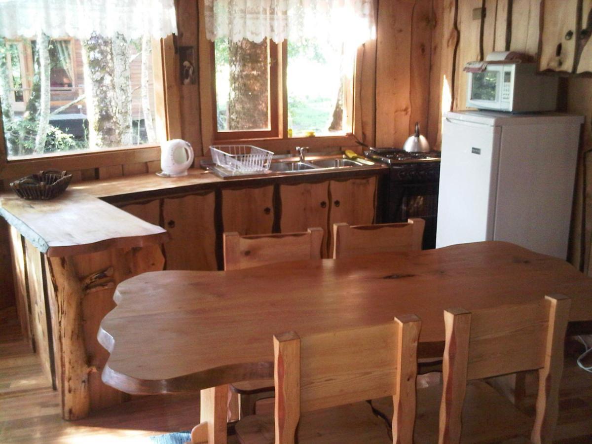 Villa Patagonia Mawida Neltume Habitación foto