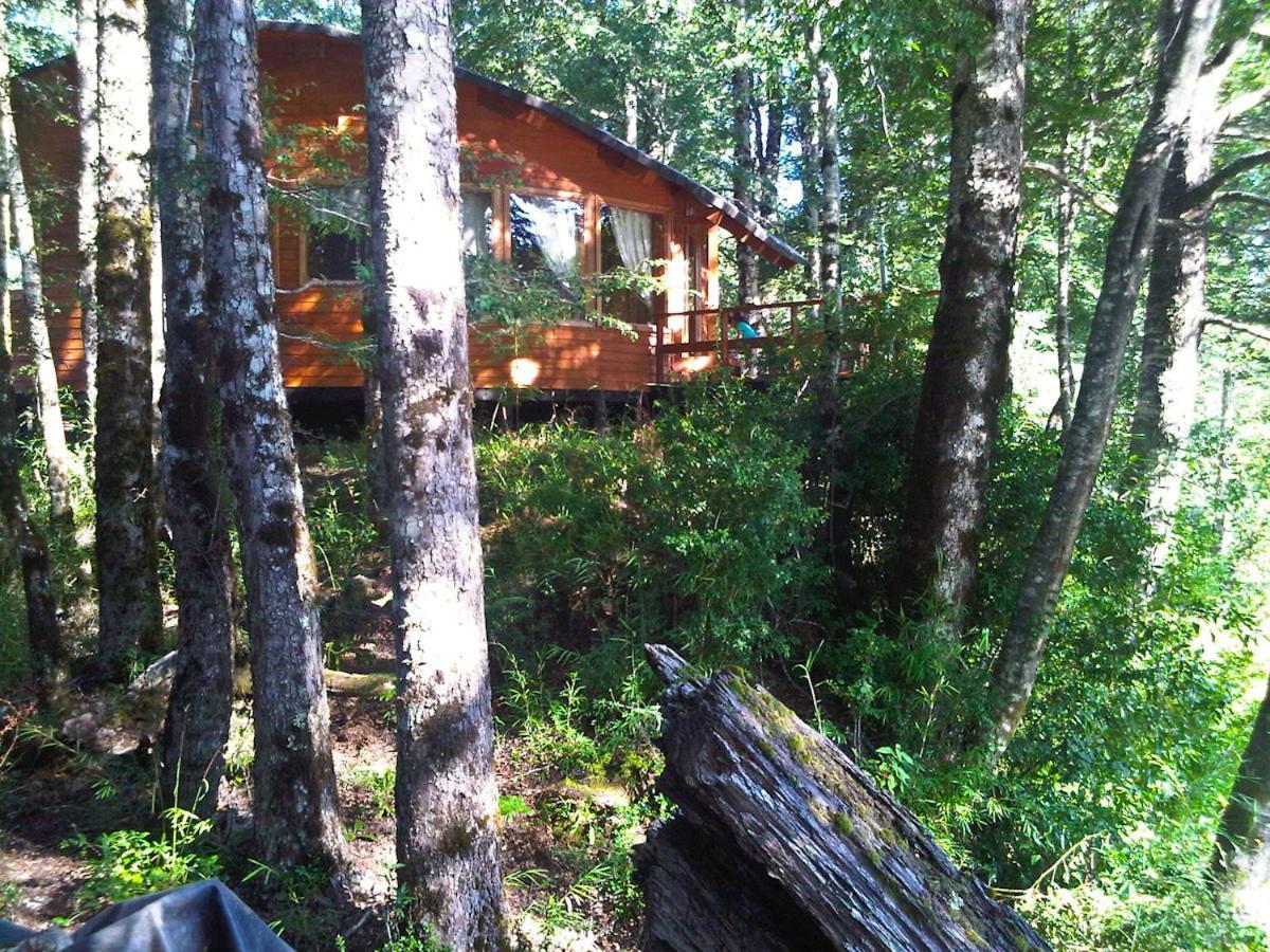 Villa Patagonia Mawida Neltume Exterior foto